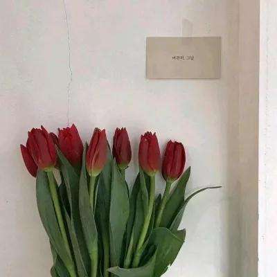 魔法英雄传ol英雄无敌破解版下载
